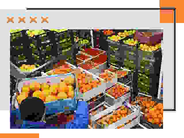 Перевозка скоропортящихся продуктов в Нижнем Тагиле